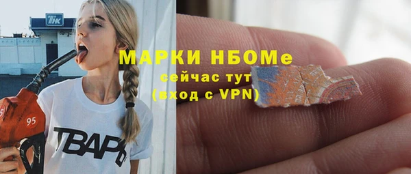 сатива Абаза