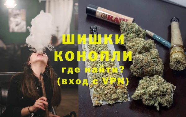 сатива Абаза