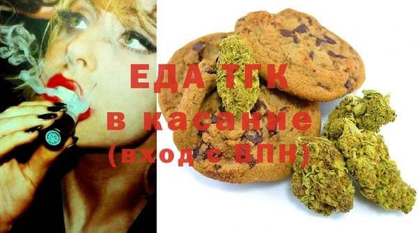 индика Козельск