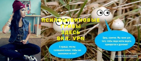 сатива Абаза