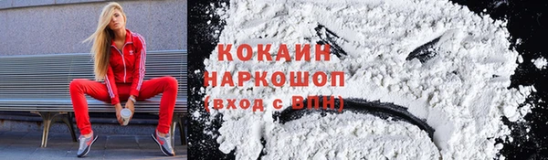 сатива Абаза